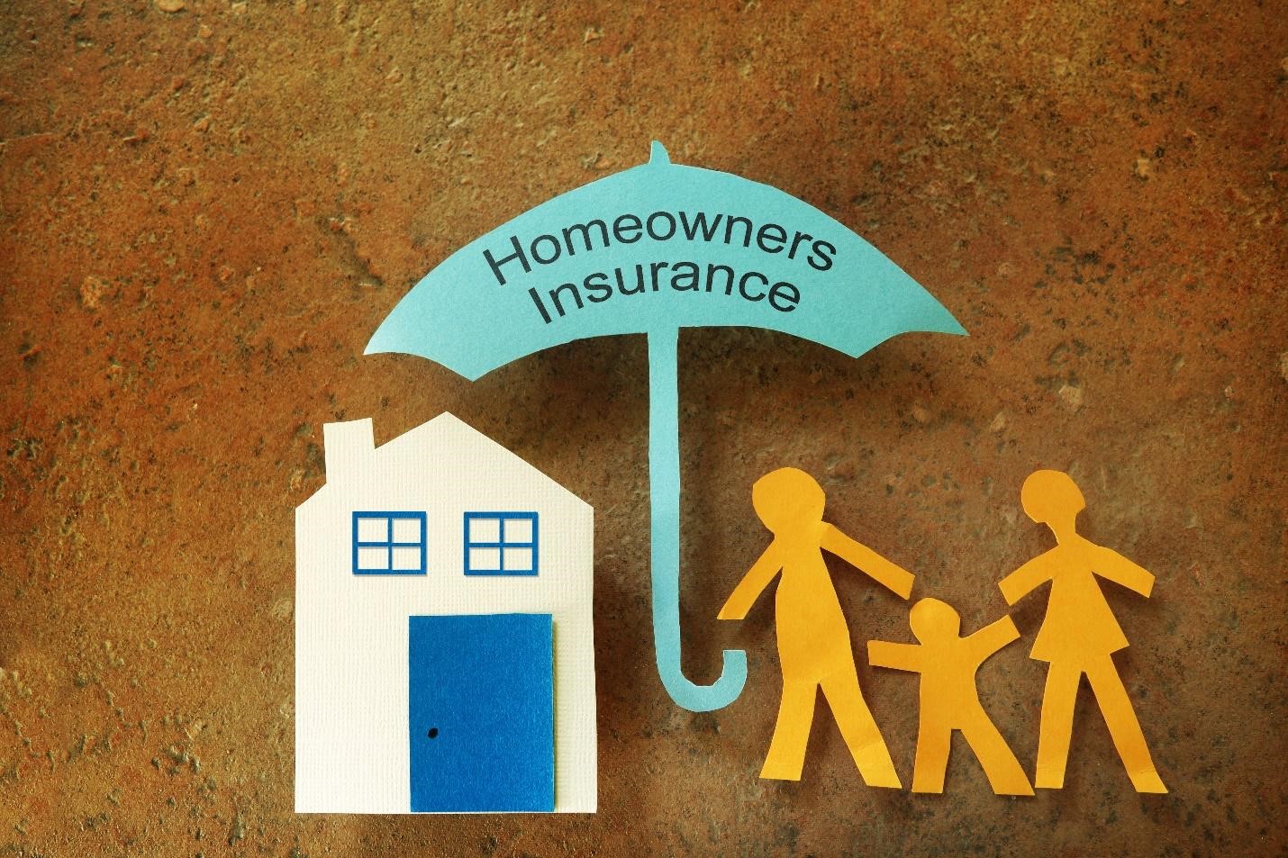 State Farm Hillsborough County Homeowner's Insurance